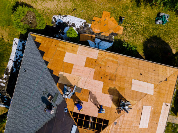 Best Roof Gutter Cleaning  in Northampton, MA